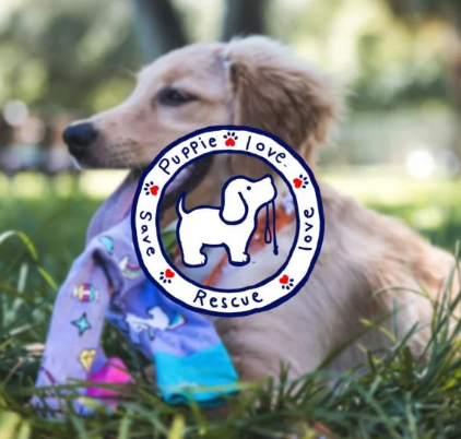 Puppie Love Howdy Bandana Pup T Shirt